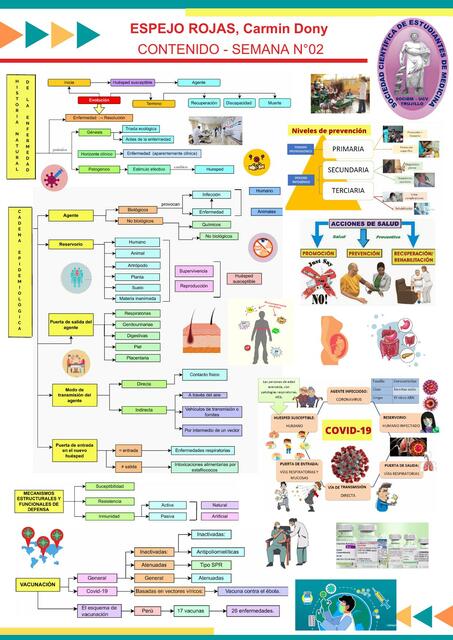 Organizador Visual 