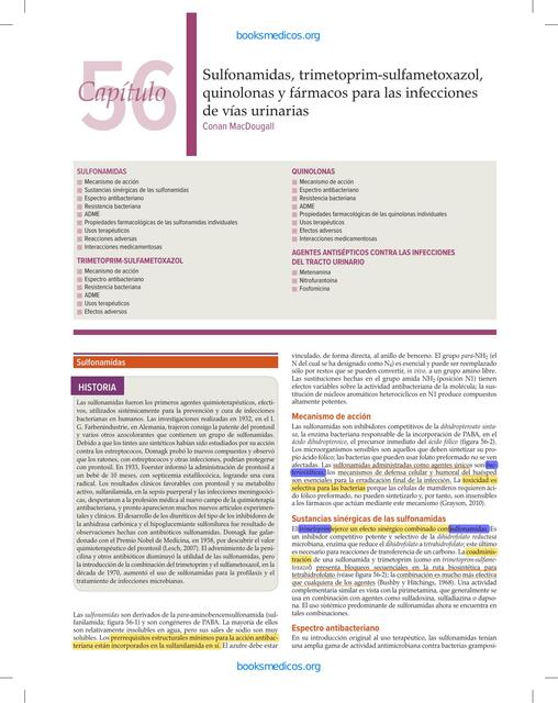 Sulfonamidas, trimetoprim-sulfametoxazol, quinolonas y fármacos para las infecciones de vías urinarias