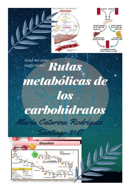 Rutas Metabólicas de los Carbohidratos 