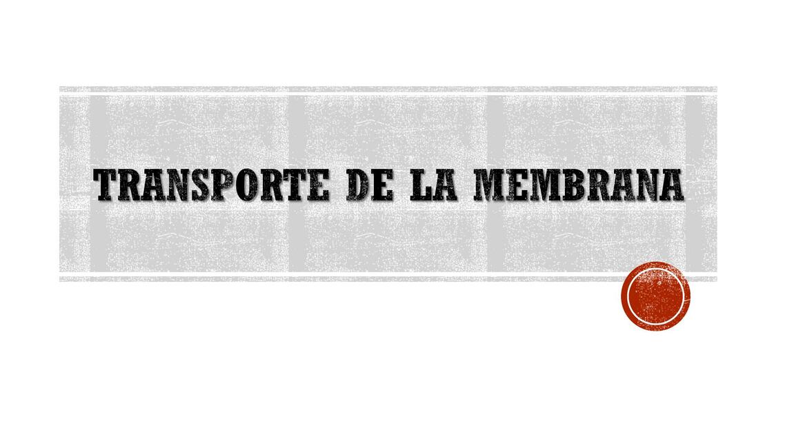 Transporte de la Membrana