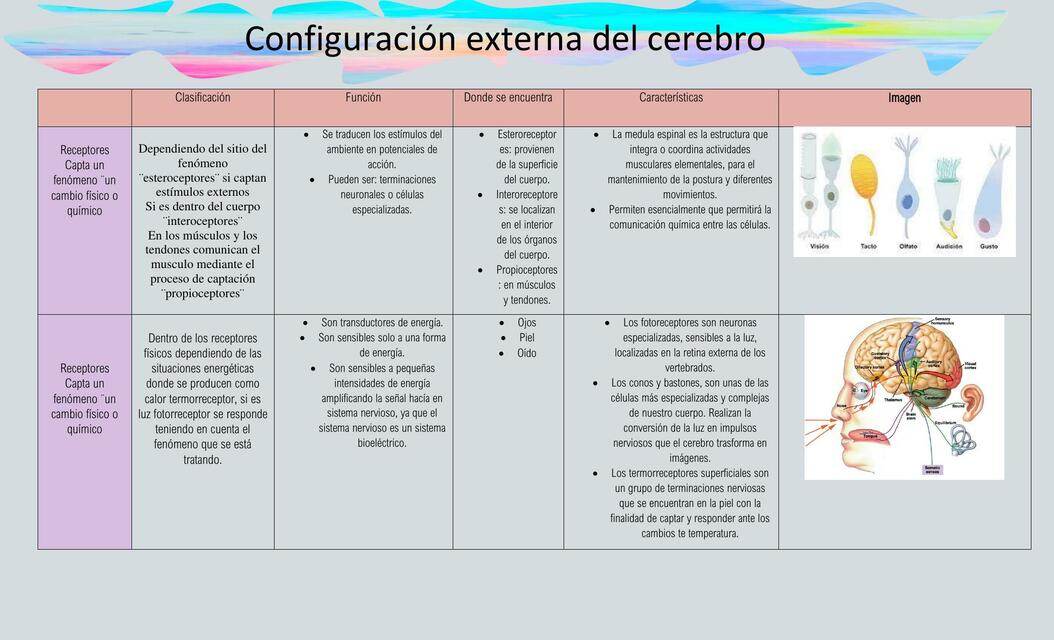 Neurociencias 