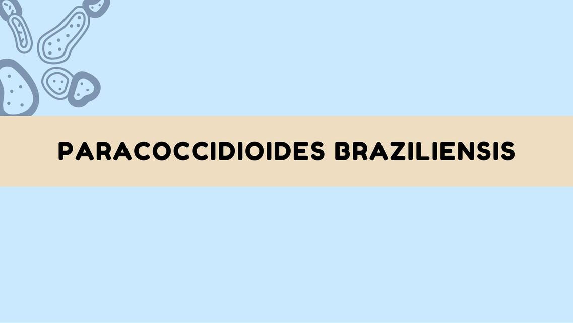 Paracoccicioides Braziliensis 