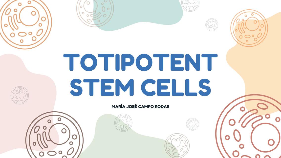 Totipotent Stem Cells 