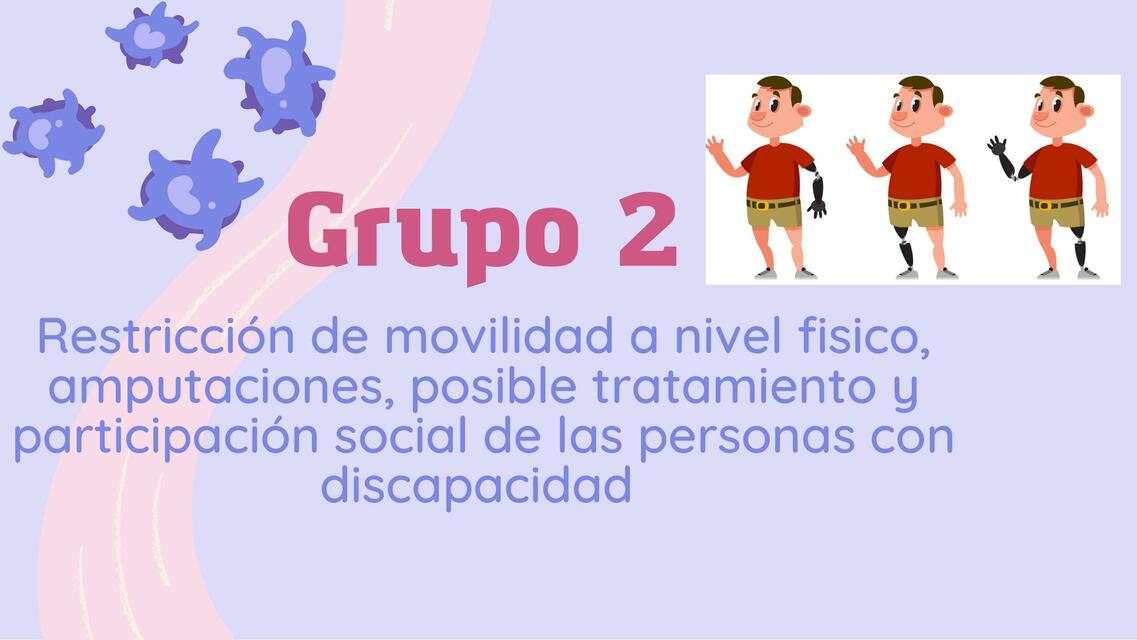 Restricción de Movilidad a Nivel Físico, Amputaciones, Posible Tratamiento y Participación Social de las Personas con Discapacidad