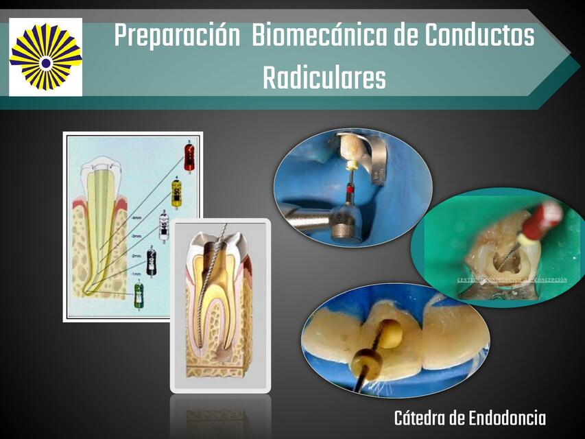 Preparación biomecanica