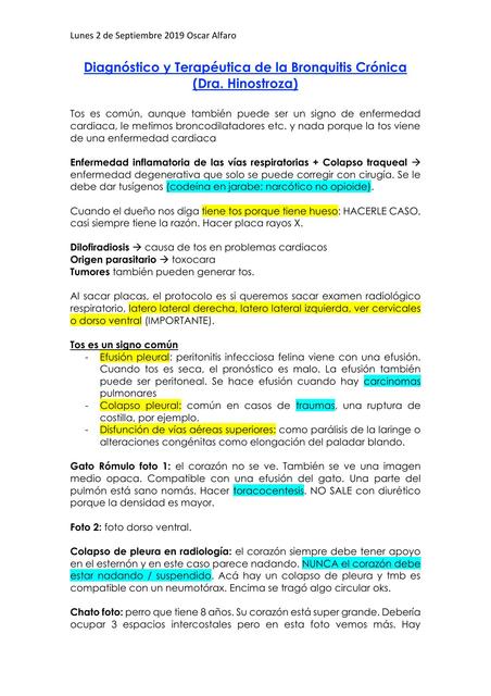 Diagnóstico y Terapéutica de la Bronquitis Crónica