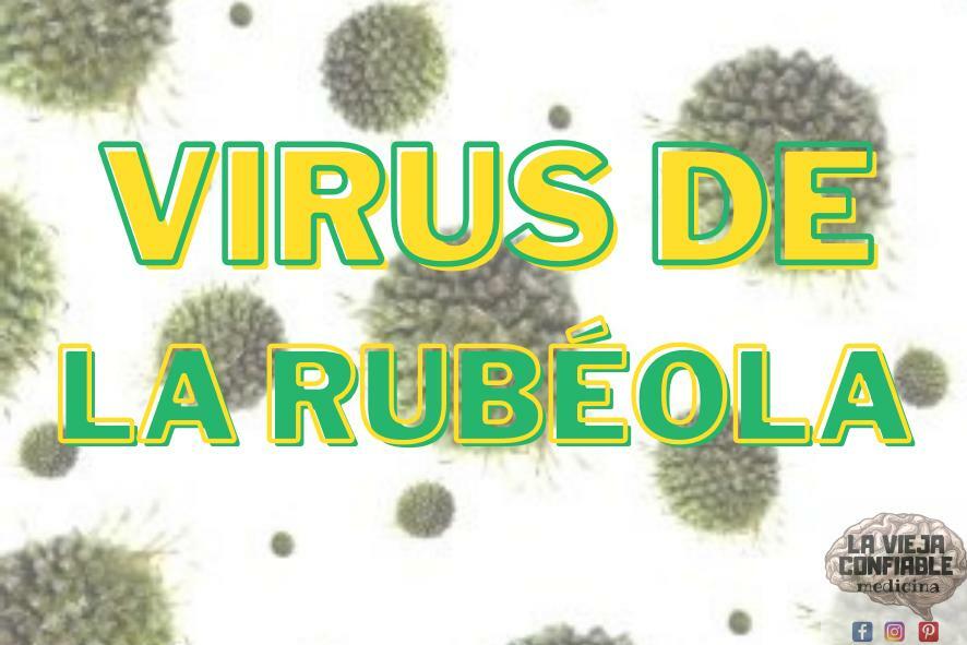 6 Virus de la Rubéola