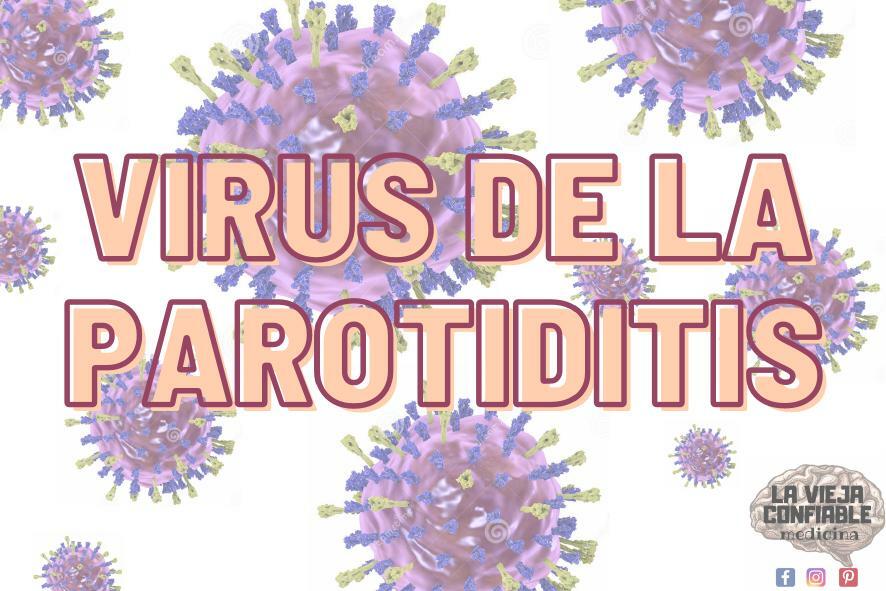 7 Virus de la Parotiditis