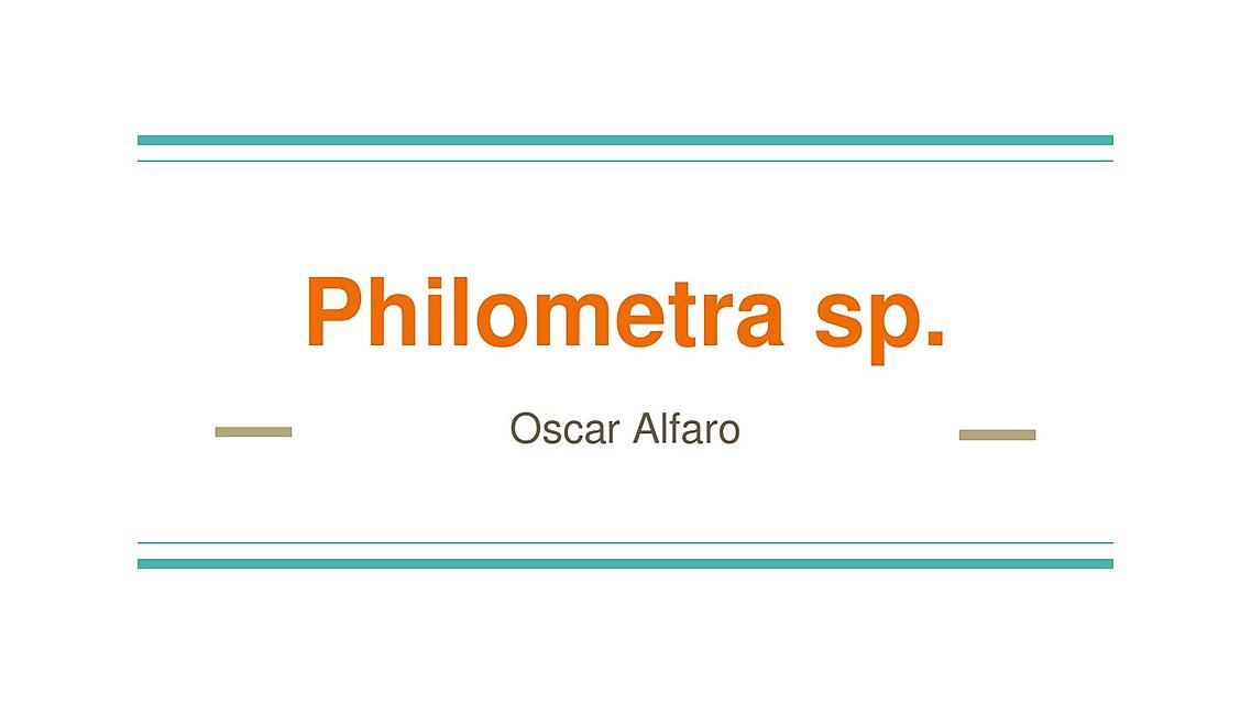 Philometra spp.