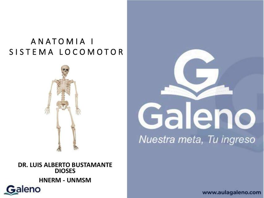 Anatomía 1 Sistema locomotor