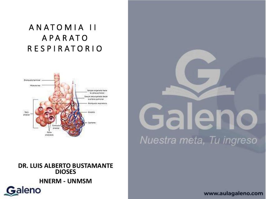 Anatomía 2 Aparato Respiratorio 