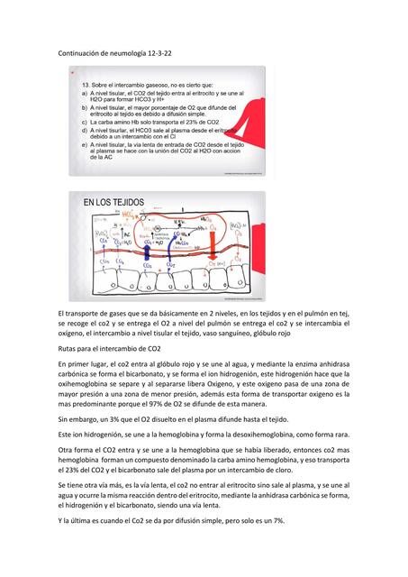 Continuación de neumología 12