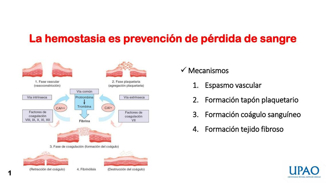 Hemostasis y Coagulación