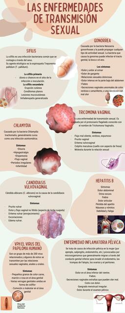 Enfermedades De Transmisión Sexual Udocz