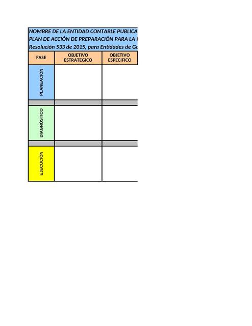 Formato Plan Accion Cronograma Proyecto NICSP