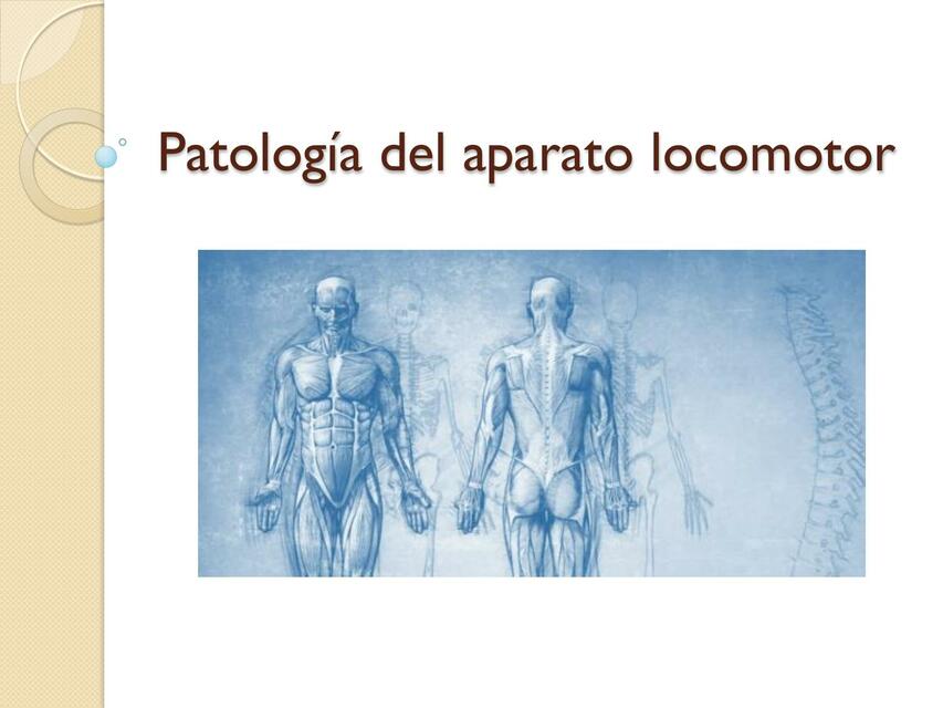 Patología del Aparato Locomotor