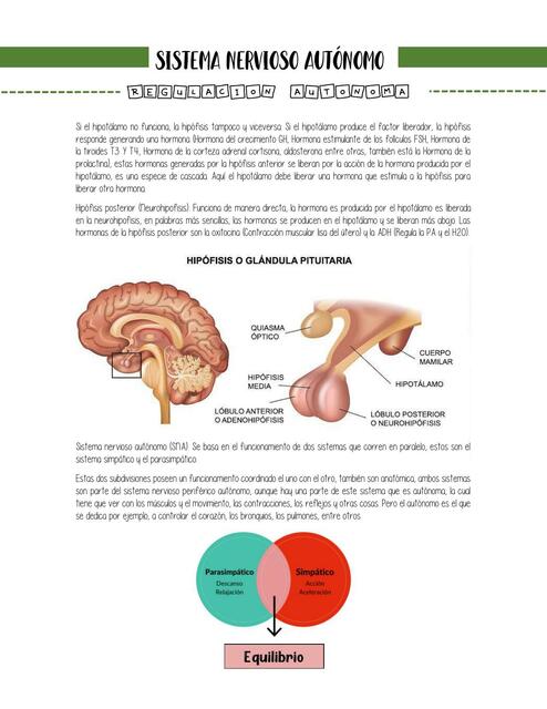 Clase sna y hipotalamo