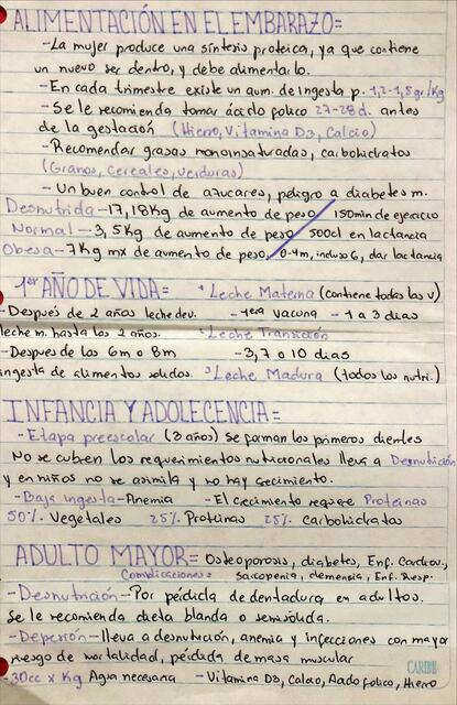 Alimentación desde el Embarazo a Adulto Mayor