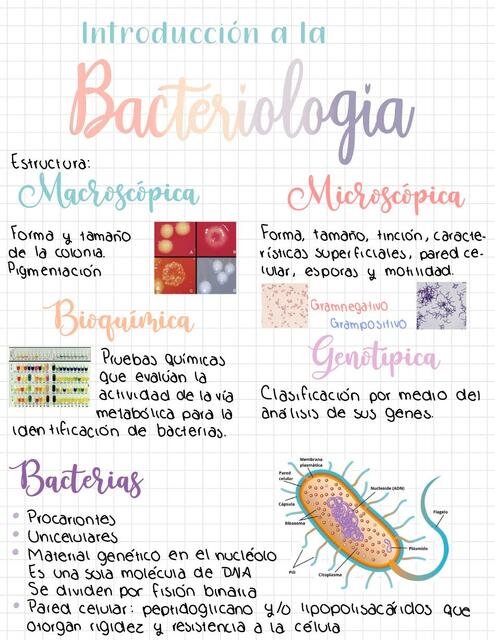 Introducción a la Bacteriología