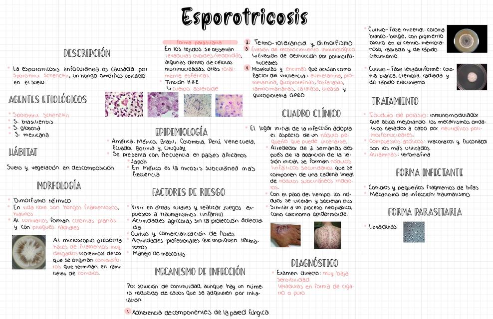 Micosis Subcutáneas