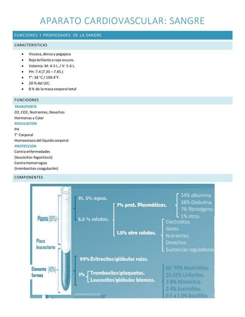 Aparato cardiovascular: sangre