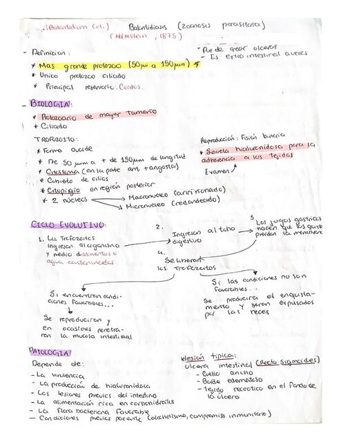 Balantidiasis