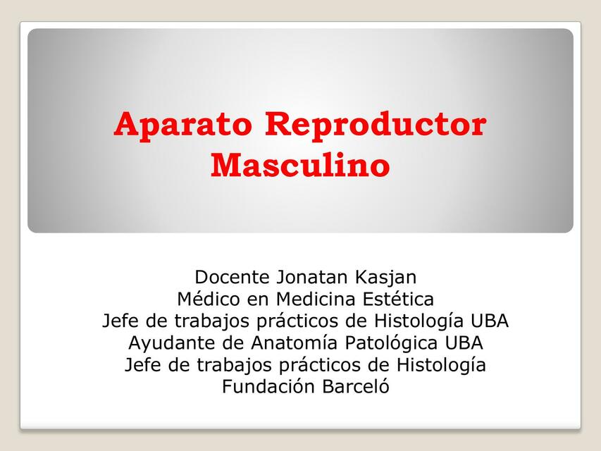 Masculino