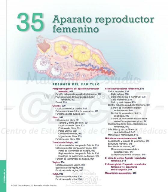 Aparato Reproductor Femenino