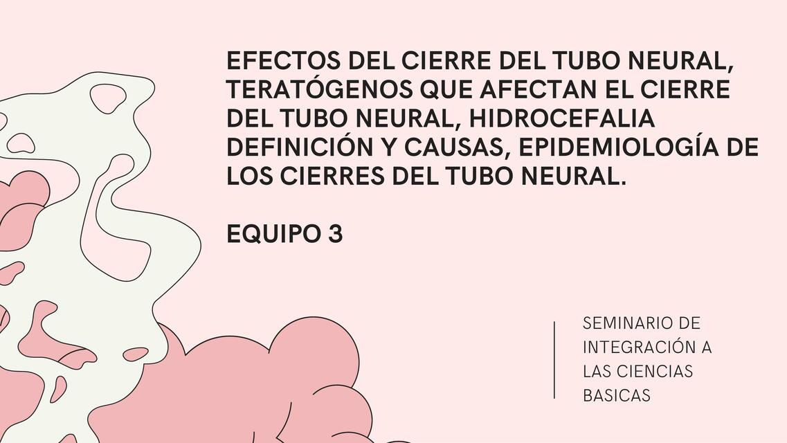 Defectos del tubo neural