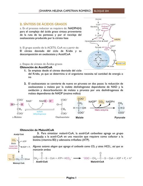 Síntesis de ácidos grasos