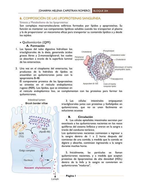 Lipoproteínas