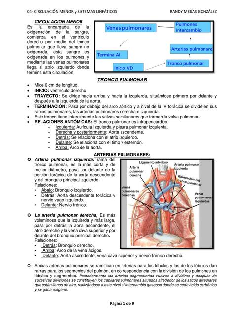 Circulación Menor y Sistema Linfatico 