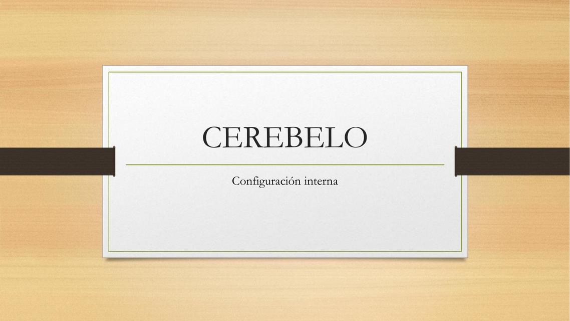 Cerebelo 