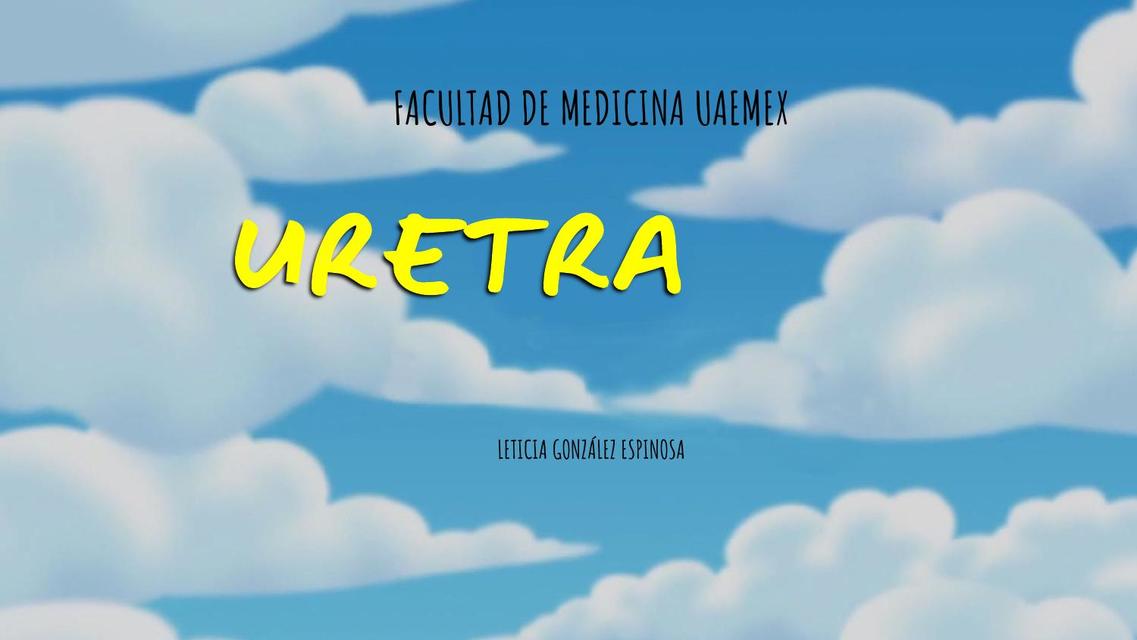 Uretra 