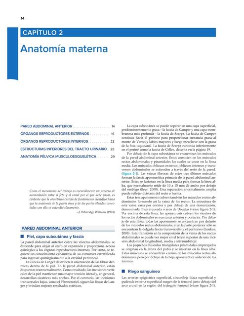 Anatomía materna