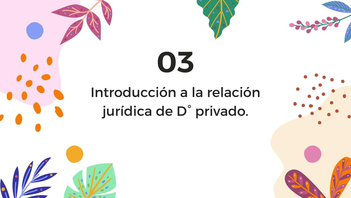 Introducción a la Relación Jurídica de Derecho Privado