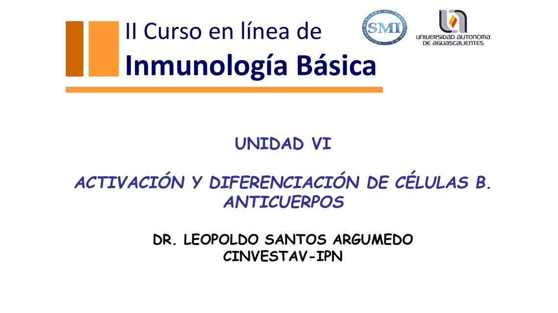 Activación y Diferenciación de Células B, Anticuerpos 