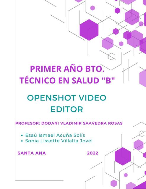 OpenShot Video Editor