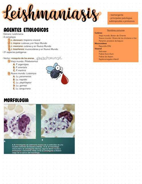 Leishmaniasis