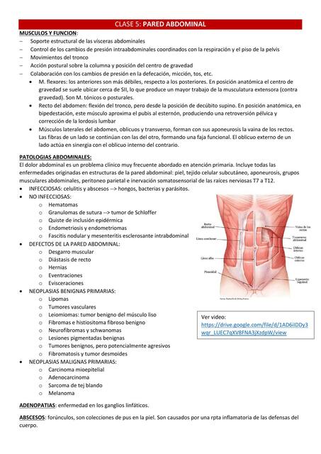 Pared Abdominal 