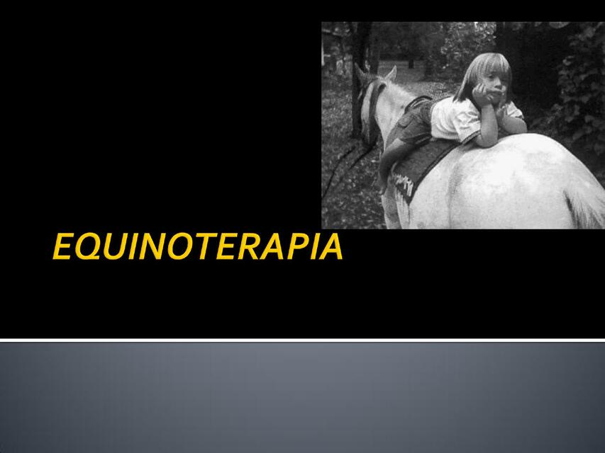 Equinoterapia 