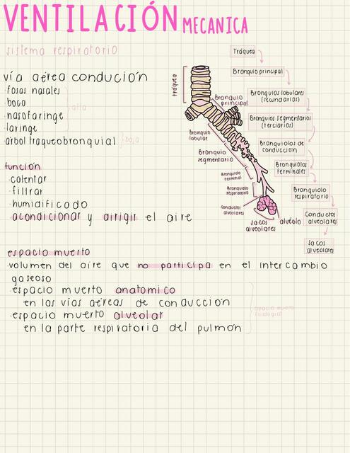 Ventilación Mecánica