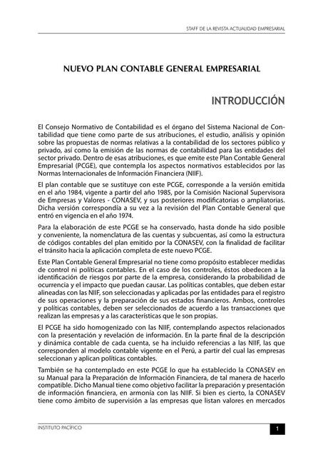 Nuevo Plan Contable General Empresarial