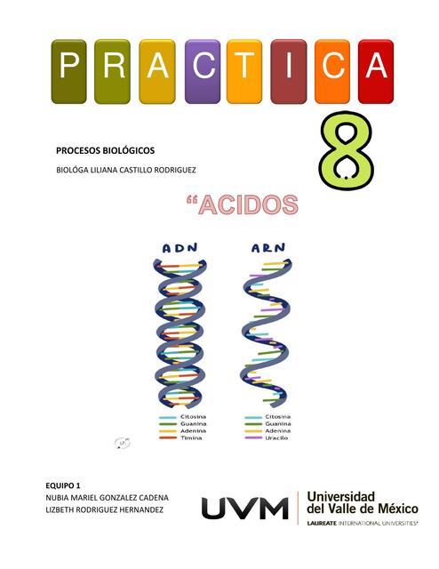 Ácidos nucleicos