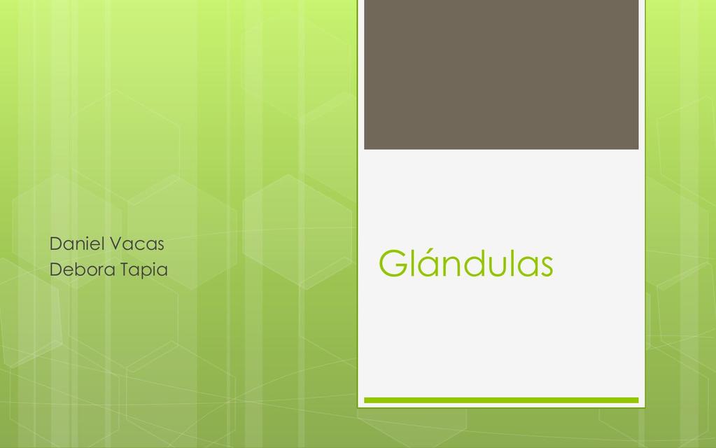 Glándulas 