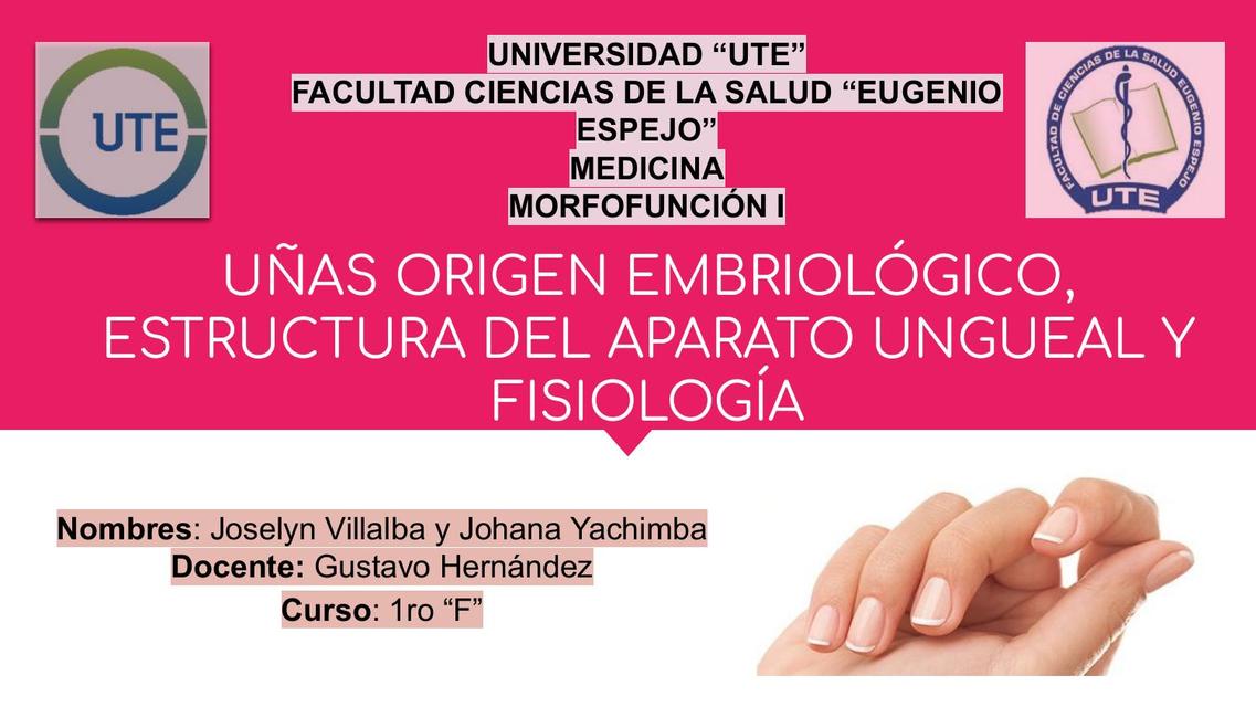 Uñas origen embriológico 