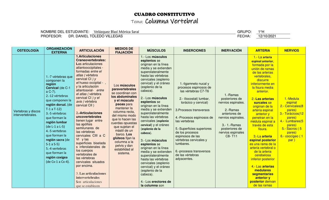 Columna Vertebral 