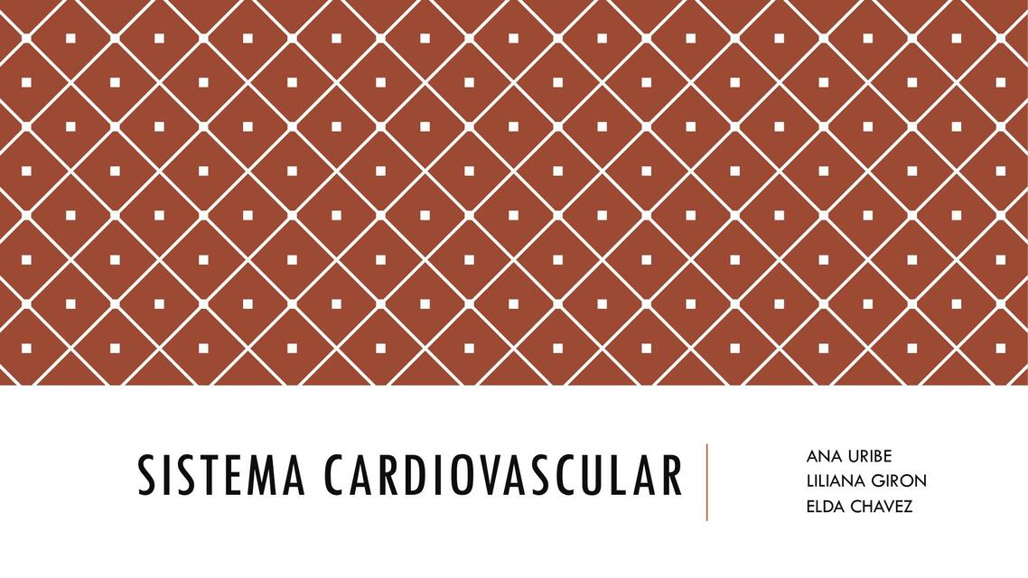 Sistema cardiovascular