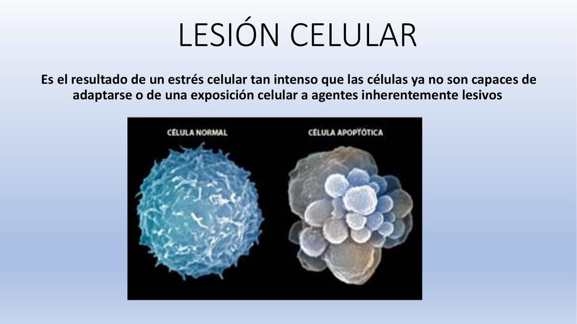 Lesion celular 