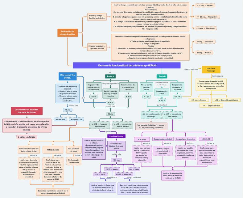 EFAM Clasificación y valores